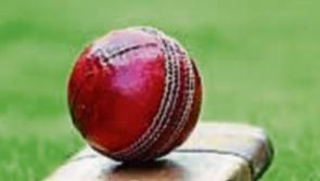 Limerick cricket club 70 runs short of victory against Cork in Munster League action