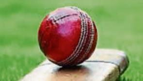 Three wins from weekend action for Limerick Cricket Club