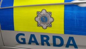 Gun used in County Limerick aggravated burglary
