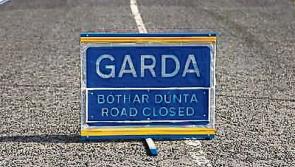 Investigation underway following fatal road collision in County Limerick
