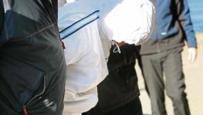 Limerick man facing retrial for tiger kidnapping after successful appeal
