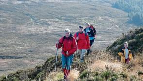 Walking festival to light up the Ballyhoura way