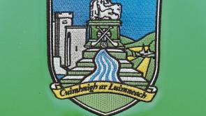 Limerick name minor football team to face Waterford