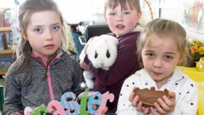 A cracking Easter weekend beckons across Limerick