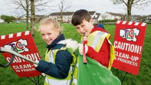 Europe's largest Clean-Up swings into action in Limerick