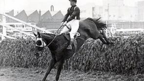 Plaque to be unveiled for famous Limerick bred Grand National winner Foinavon