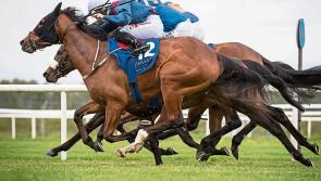 THE PUNTER'S EYE: A weekend treble that could crown racing's return to the Curragh
