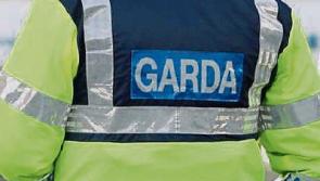 Gardaí investigate Limerick city road crash 