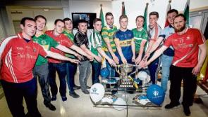 Limerick SHC – club-by-club profiles
