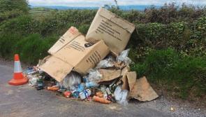 'Neanderthals' dump a load of rubbish in Limerick village days after TLC3