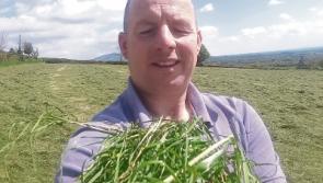 No Bank Holiday: Silage is cut on May 1 in Limerick