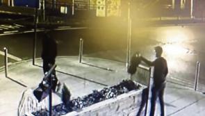 WATCH: Limerick pub releases CCTV of man causing damage to flower bed