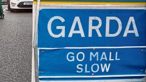 Gardai issue traffic alert for Limerick and Tipperary after M7 collisions