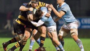 Limerick-based rugby players on short-list for AIL awards