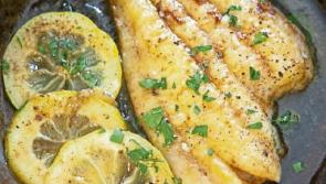 Don’t shy away from this fishy delight  