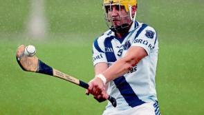 Limerick clubs in Premier Intermediate Championship action
