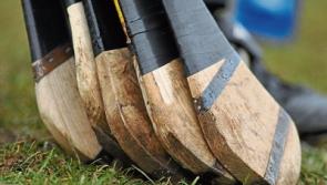 Senior hurling championship wins for Na Piarsaigh and Ahane