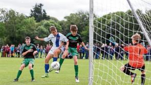 Limerick Desmond make Kennedy Cup quarters as District miss out