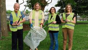 Limerick set for Ireland's Best Kept Towns final