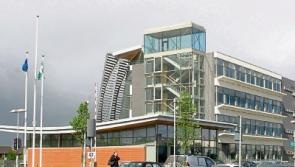 Bizarre tree house dispute in Limerick at 'well-advanced' stage