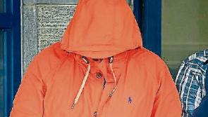Limerick man identified attacker during garda interviews