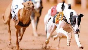 Extra security for Limerick-owned greyhound Clares Rocket