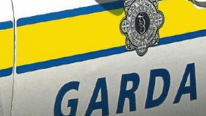 Limerick topless fight woman speaks out and says she feels 'ashamed'