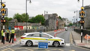 Army Bomb Disposal team make 'historic hand grenade' safe after Limerick find