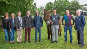 Newcastle West Show continues to be a welcome hardy annual 