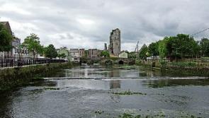 Life buoys being discarded after dragging dogs along Limerick river