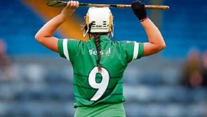Limerick exit All Ireland Senior Camogie Championship after Wexford defeat