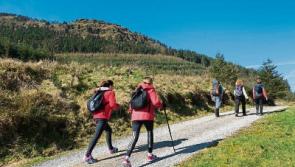 Extensive search operation in Ballyhoura Mountains sees missing couple located