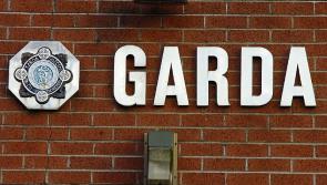 Limerick gardai investigate series of break-ins and damage to cars