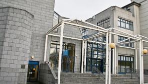 Limerick man used children as 'agents' to steal toys from shop