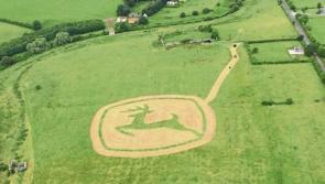 County Limerick harvest fair postponed due to bad weather