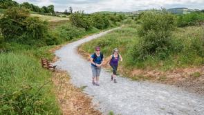 Limerick councillors seek assurance before extension to Great Southern Greenway