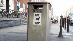 Limerick council aims to put a stamp on dog poo problem