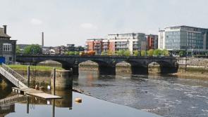 Limerick swimmers set to take the plunge in River Shannon   