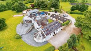 Pat Shortt's Castleconnell mansion reduced by €450k, and half its €2.7m boom price