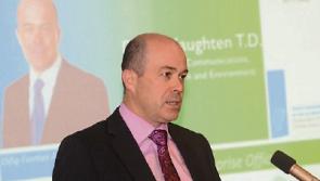 Government allocates funding for 43 environment projects in Limerick