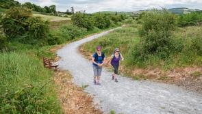 Greenway plans for Limerick to be discussed further