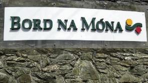Jobs boost for Limerick as Bord na Móna starts work on site for €20m smokeless coal facility
