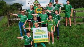 Great day out for Limerick fans: Cappamore Show and Thurles!