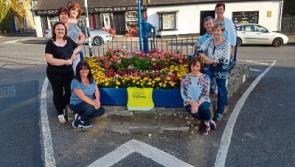 Castleconnell wins vote to reach Limerick Going for Gold final 