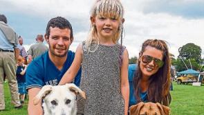Everyone from bakers to candlestick makers at Limerick garden fete