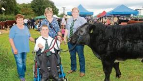 Cerebral palsy teen's bullock was as quiet as a lamb at Limerick Show