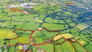 Housing demand to drive price of upcoming Limerick land auction higher