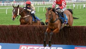 Cheltenham Gold Cup winner to line up in Listowel Festival feature
