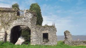 Limerick castle with river view could be yours for just &euro;280,000