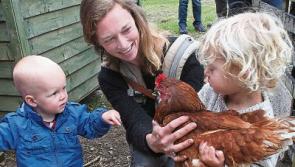 Initiative for those who need support brings huge benefits to Limerick farm families